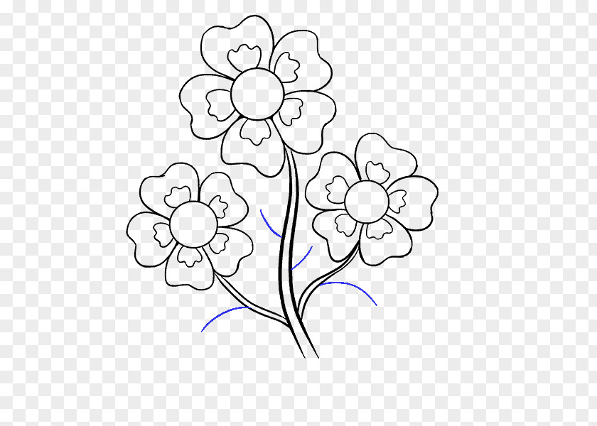 Flower Drawing Cartoon How-to Sketch PNG
