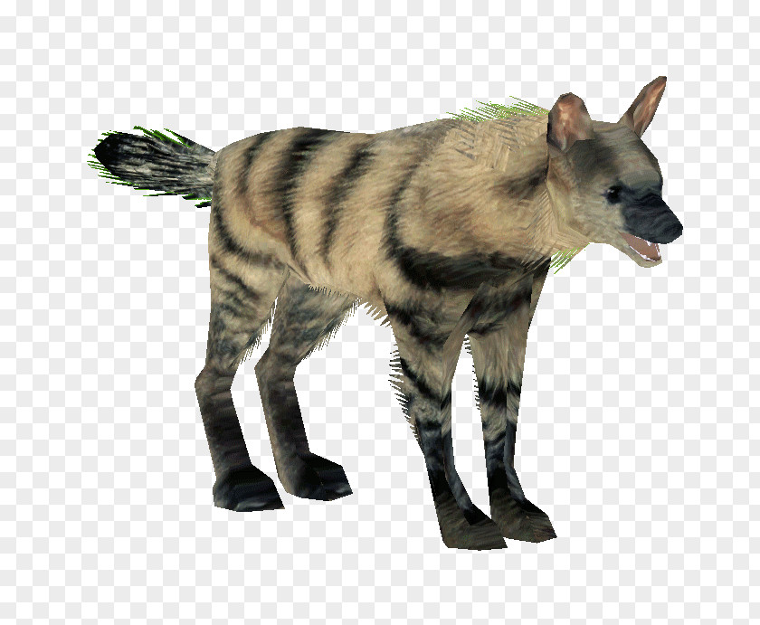 Hyena Aardwolf Mammal Carnivora PNG
