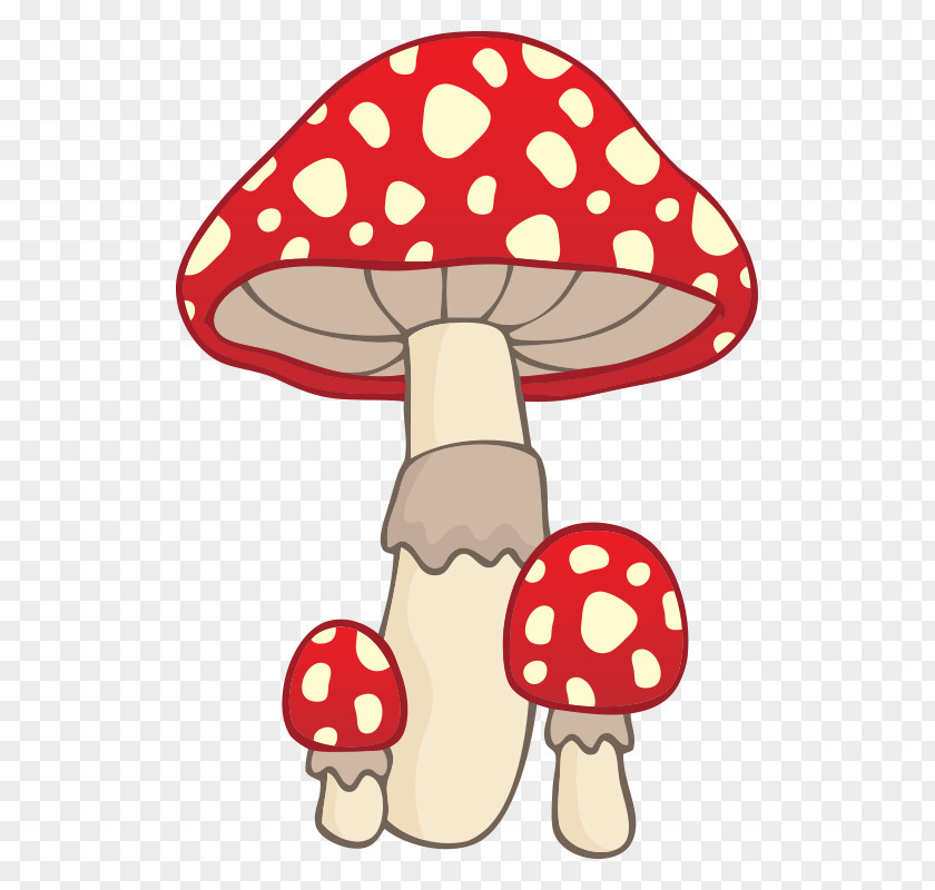 Mushroom,fungus Mushroom Illustration PNG