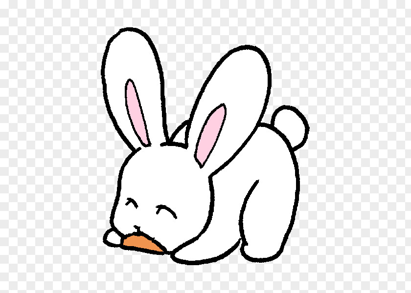 Rabbit Domestic Hare Easter Bunny Whiskers PNG