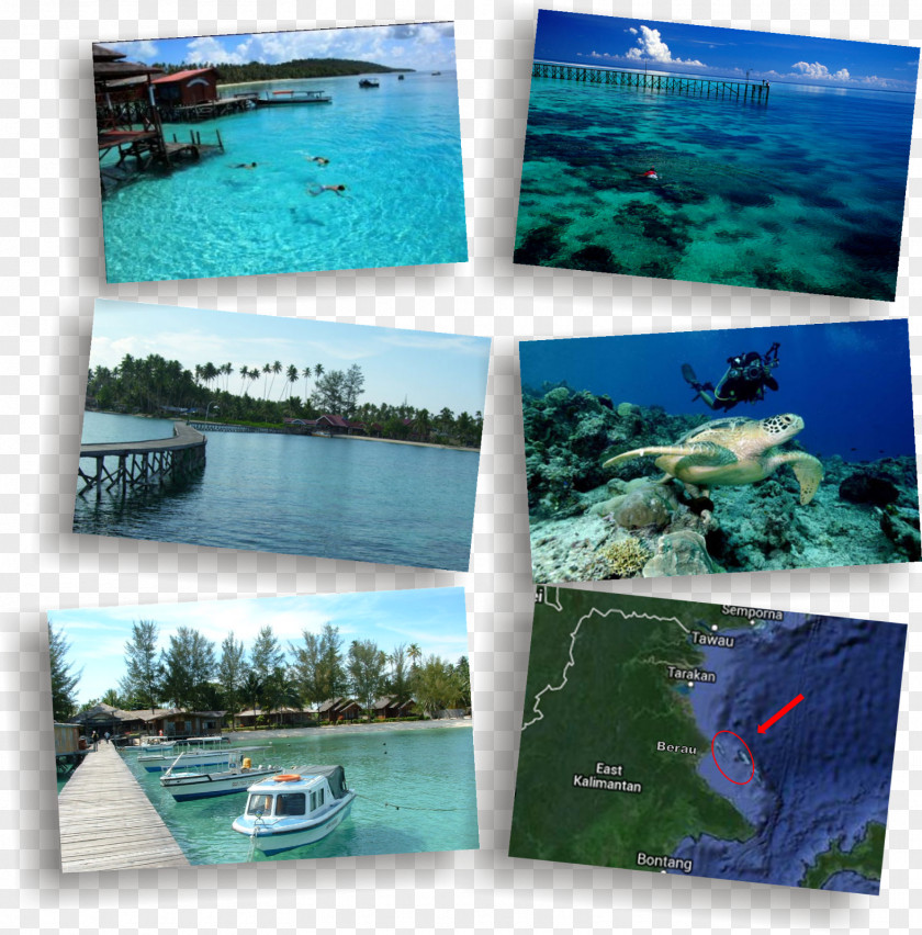 Sea Derawan Islands Water Resources Ecosystem Leisure PNG