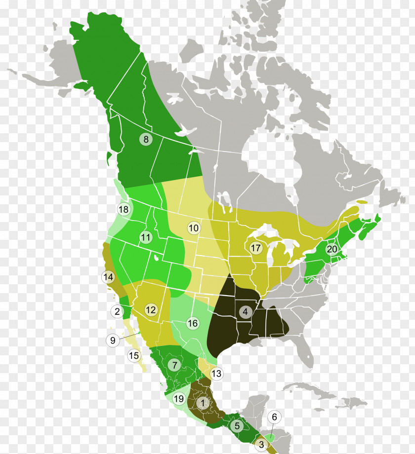 United States Spoken Language Map Nahuatl PNG