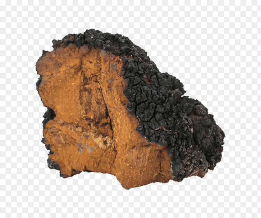 Chunks Birch Neoplasm Chaga Mushroom Fungus Polypore PNG