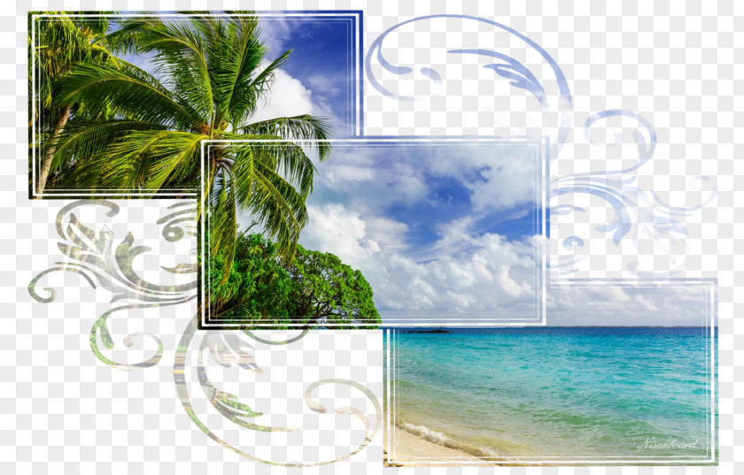 Coast Lagoon Background Frame Summer PNG