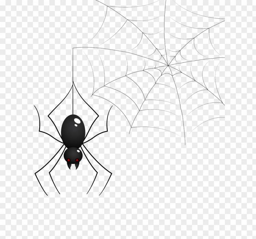 Cobweb Spider Photography Clip Art PNG