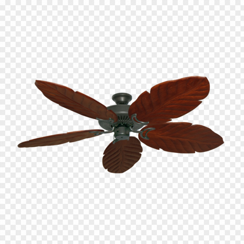 Dark Wood Focus Ceiling Fans Bronze Blade PNG