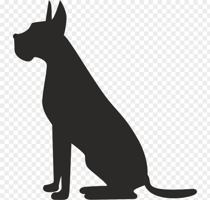 Dog Pet Sitting Grooming Cat PNG