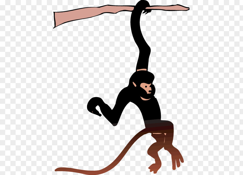 Monkey Ape Spider Clip Art PNG