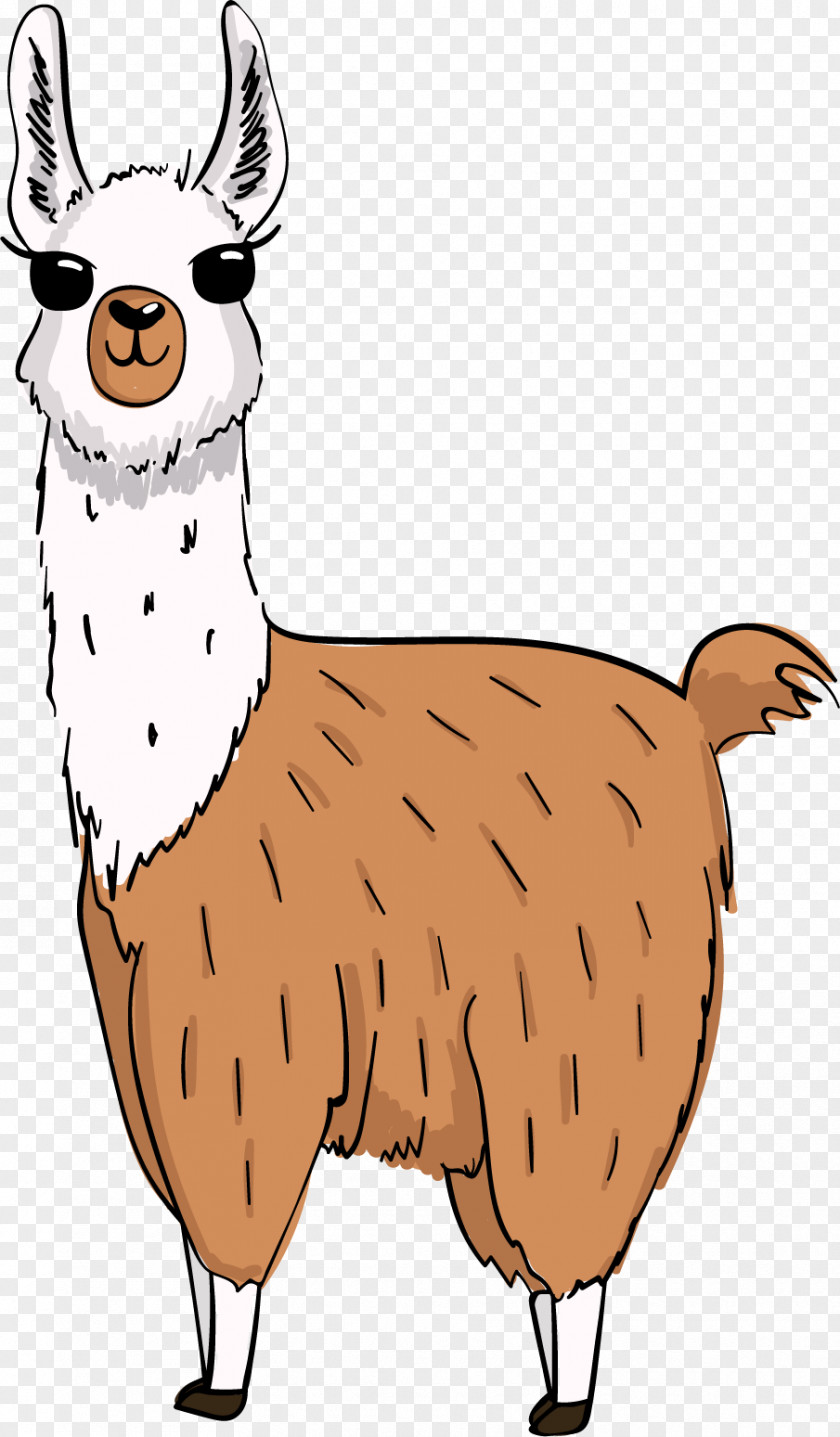 Snout Terrestrial Animal Llama PNG