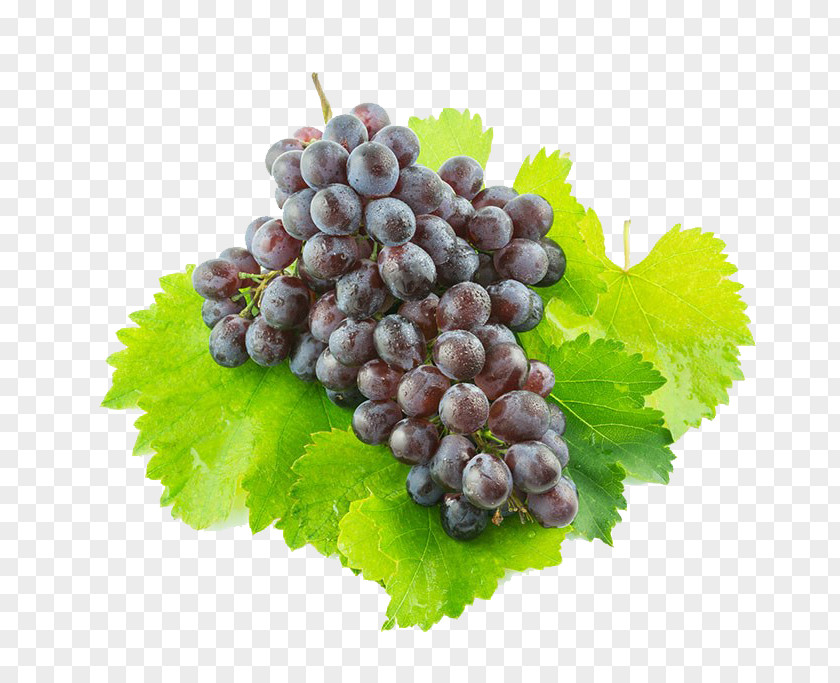 A Bunch Of Grapes Sultana Juice Grape Zante Currant PNG