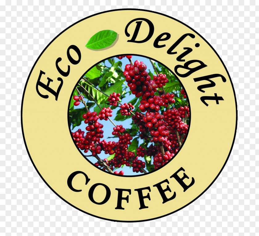 Coffee Eco-Delight Roasting Company Matagalpa, Nicaragua Tarrazú Jinotega PNG