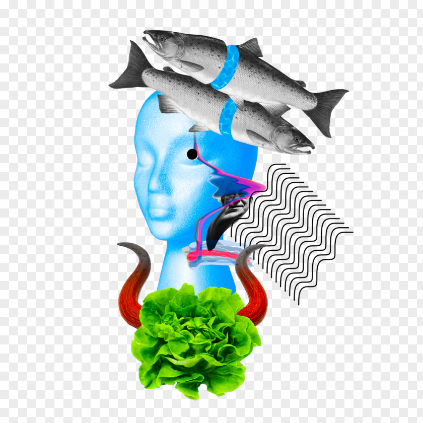 Fish Graphics Butterhead Lettuce Illustration Hjerter Es PNG