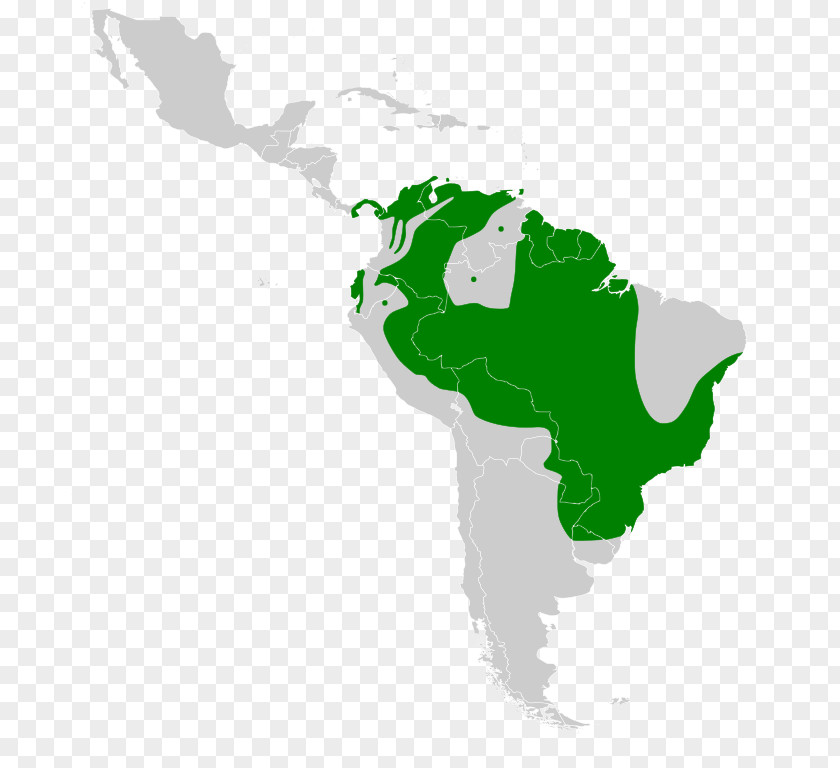 Green Iguana South America Latin United States Blank Map PNG