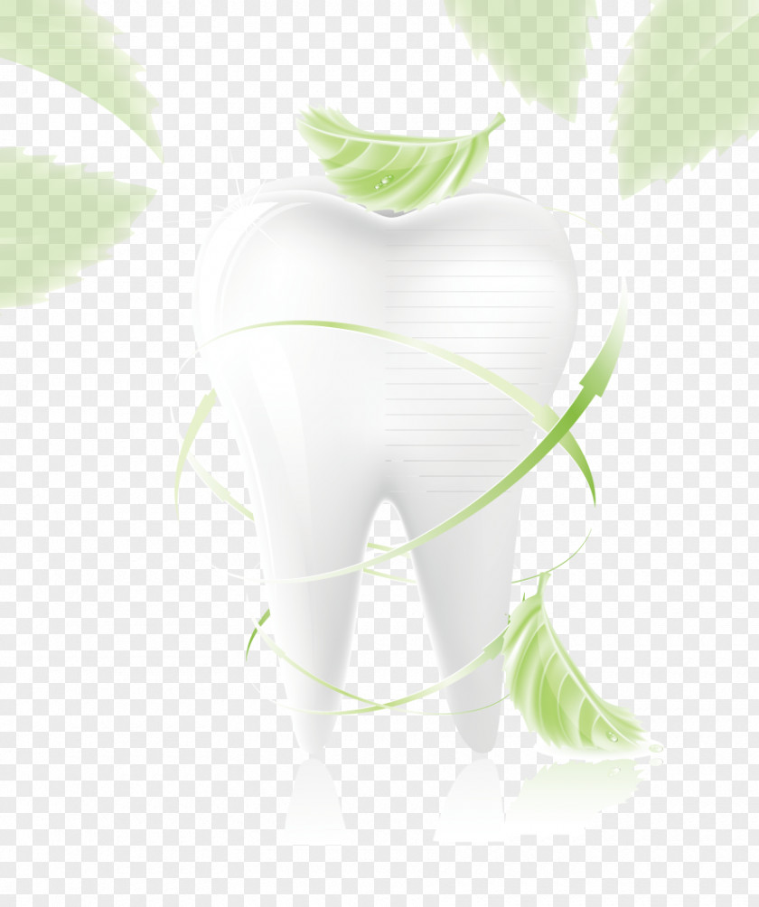 Protect Teeth Tooth Download Computer File PNG