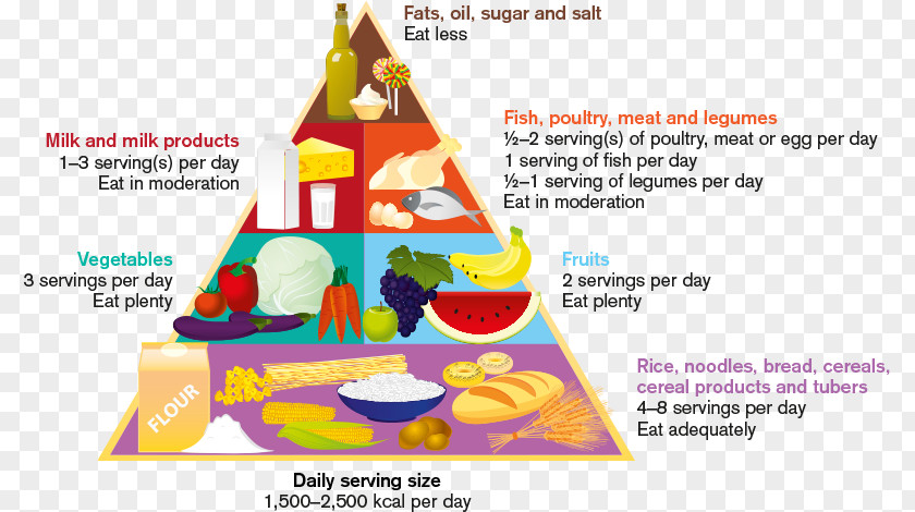 Vegetable Serving Size Eating Food Fruit PNG