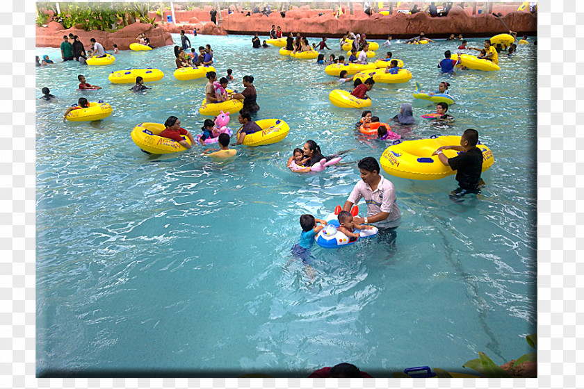 Water Park Resources Vertebrate Leisure Adventure PNG