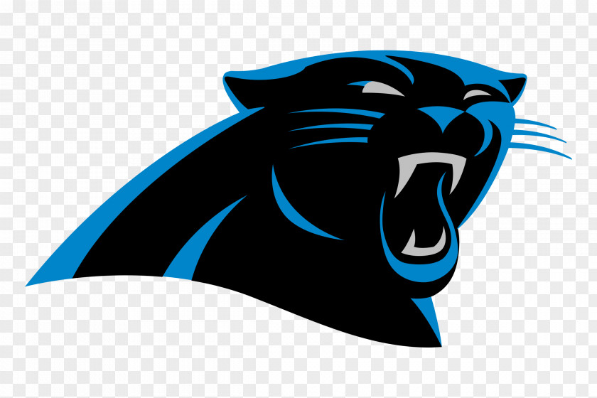 Black Panther Carolina Panthers NFL Super Bowl National Football League Playoffs American PNG