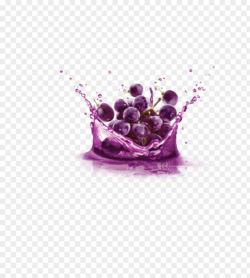 Blueberry Vector Grapefruit Juice Concord Grape Juicer PNG