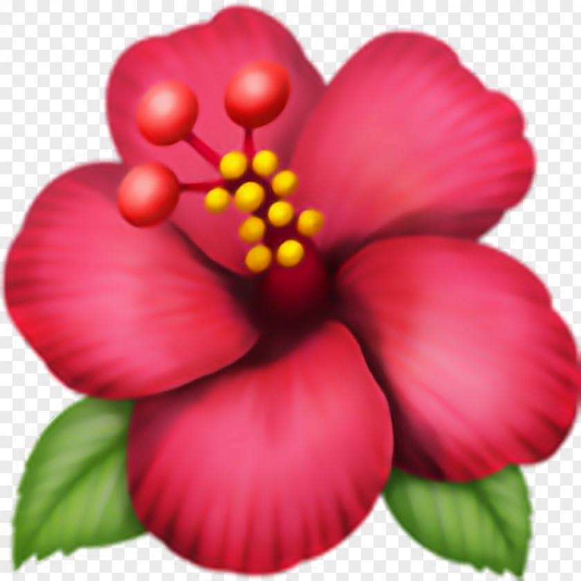 Flor Emoji Domain Hibiscus .ws PNG