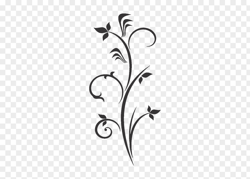 Flower Floral Design PNG