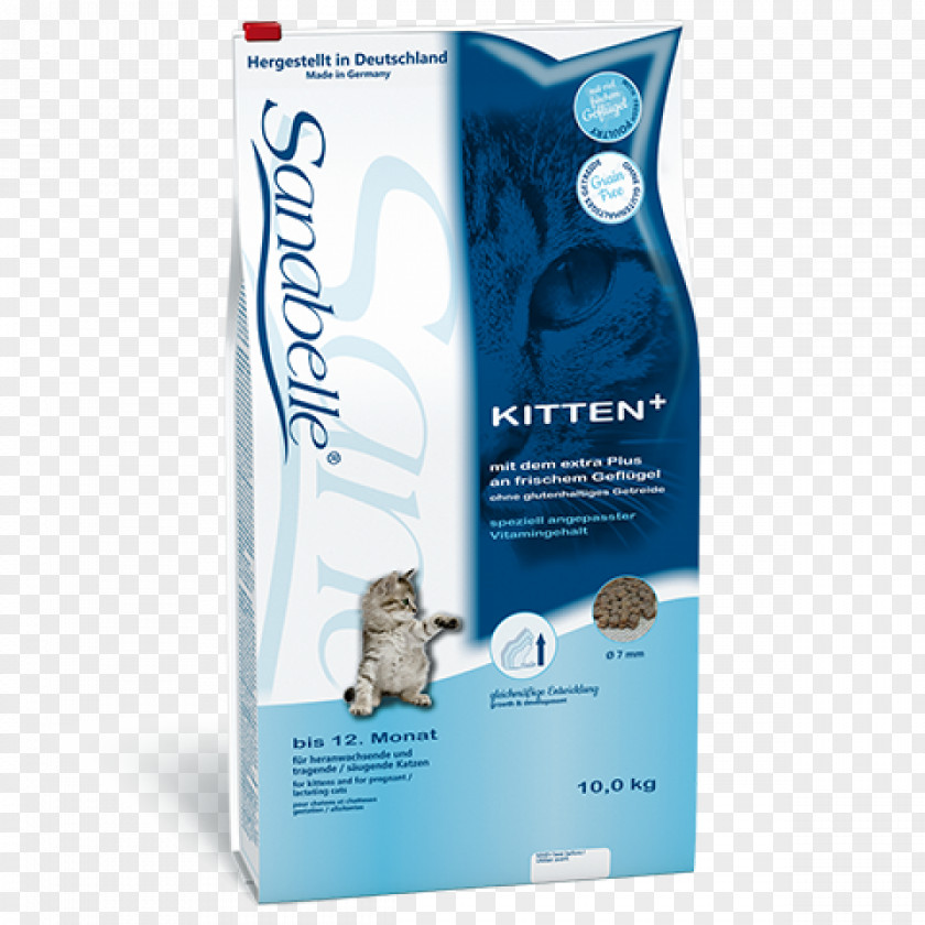 Kitten Cat Food Persian Dog PNG