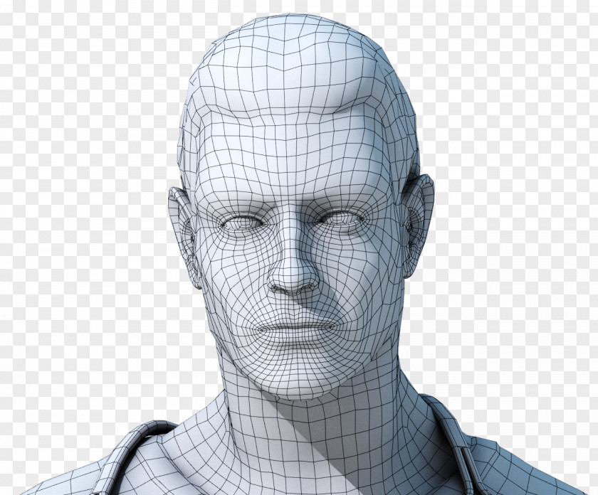 Recognition Website Wireframe Face Facial System Wire-frame Model PNG