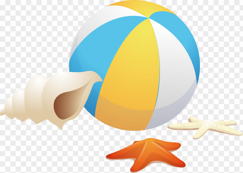Beach Ball Conch Starfish Vector GMD Computer File PNG