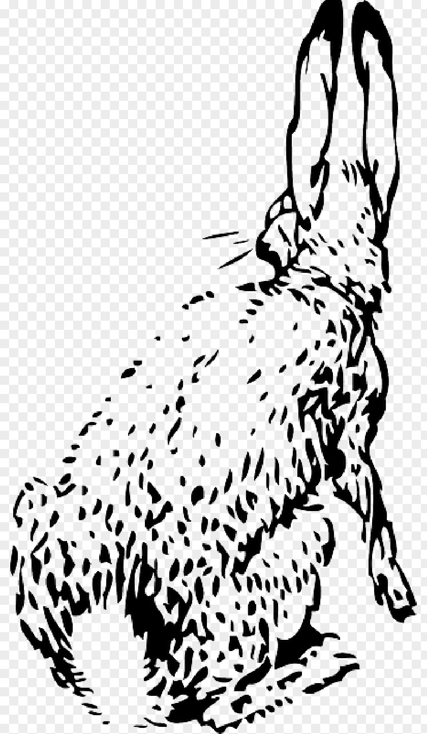 Bunny Ears Rabbit Vector Graphics Clip Art Hare PNG