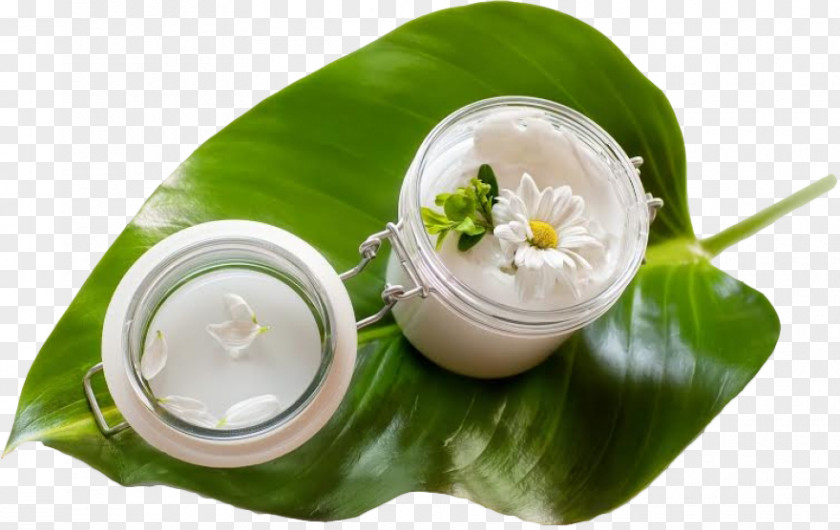 Cosmetics Cream Skin Care Massage PNG