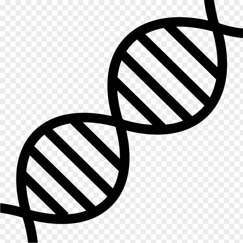 DNA Clip Art Genetics Nucleic Acid Double Helix PNG