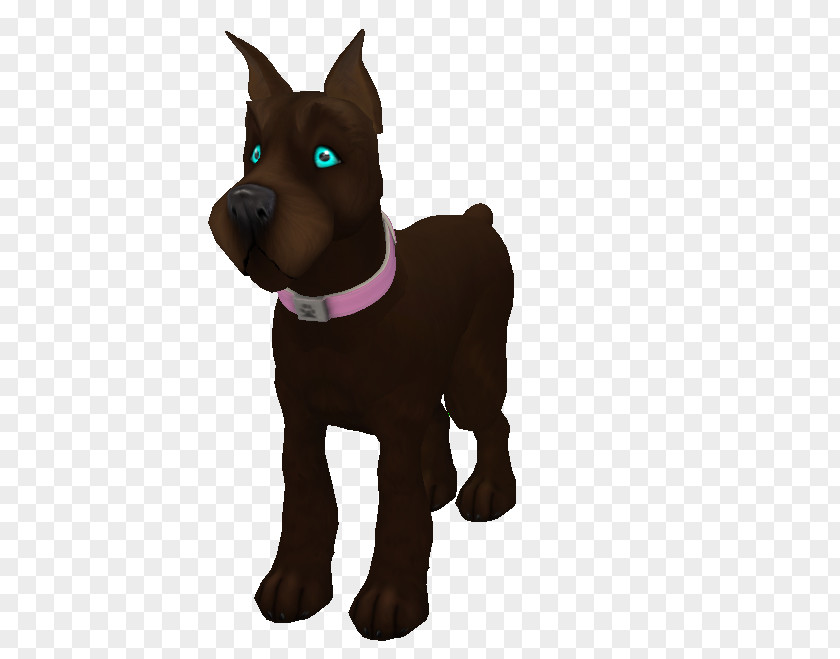 Puppy Dog Breed Leash Snout PNG