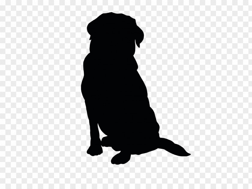 Retriever Carnivore Dog Silhouette PNG