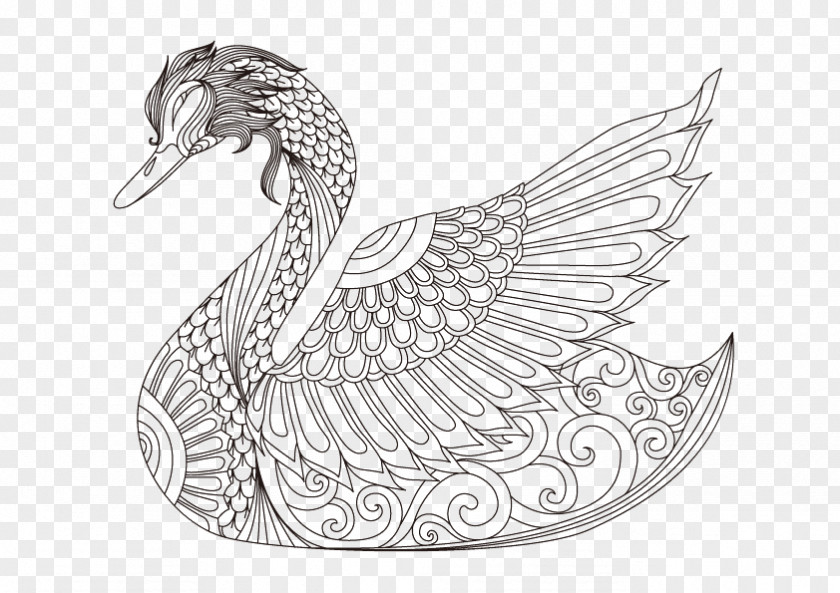 Swan Linear Painting Cygnini Goose Drawing Coloring Book PNG
