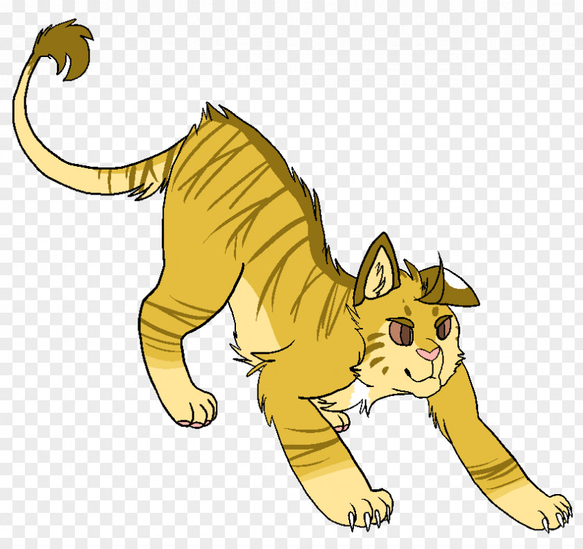 Cat Whiskers Warriors Lionblaze Hollyleaf PNG