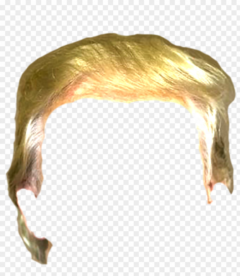 Hair Crippled America Toupée Wig Stop Trump Movement PNG