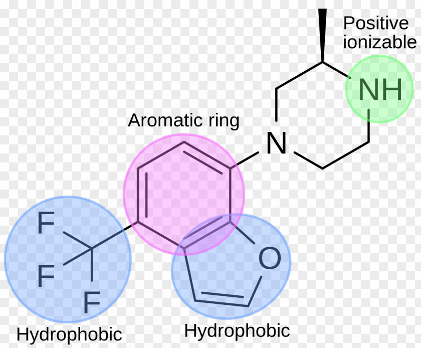 Pharmacophore 5-HT2C Receptor Agonist Serotonin 5-HT PNG