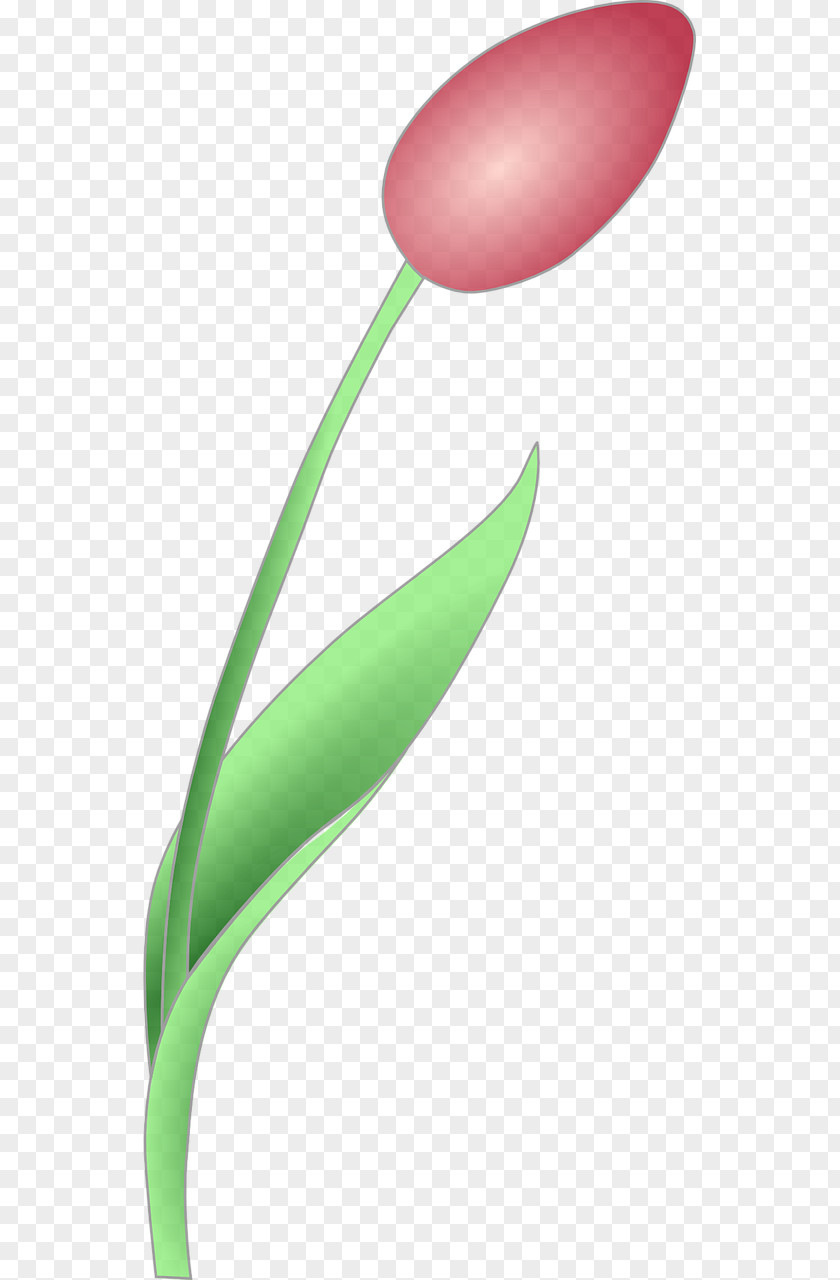 Tulips Desktop Wallpaper Clip Art PNG
