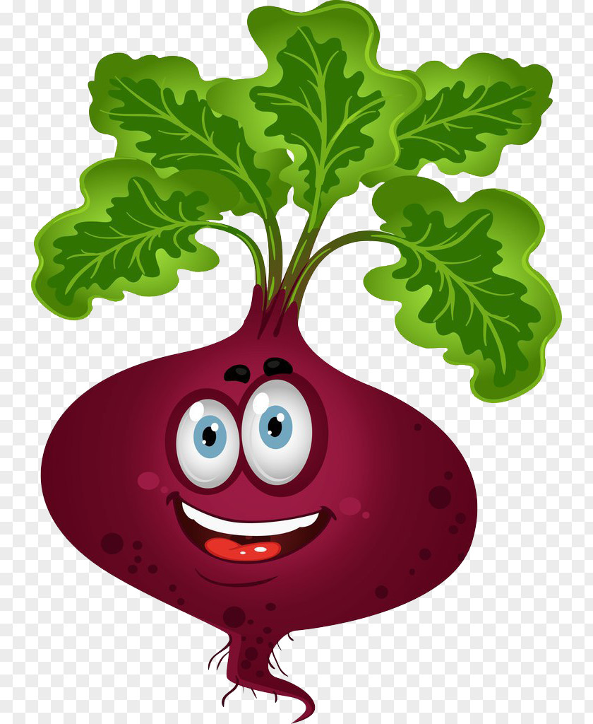 Vegetable Vector Graphics Cartoon Drawing Illustration PNG