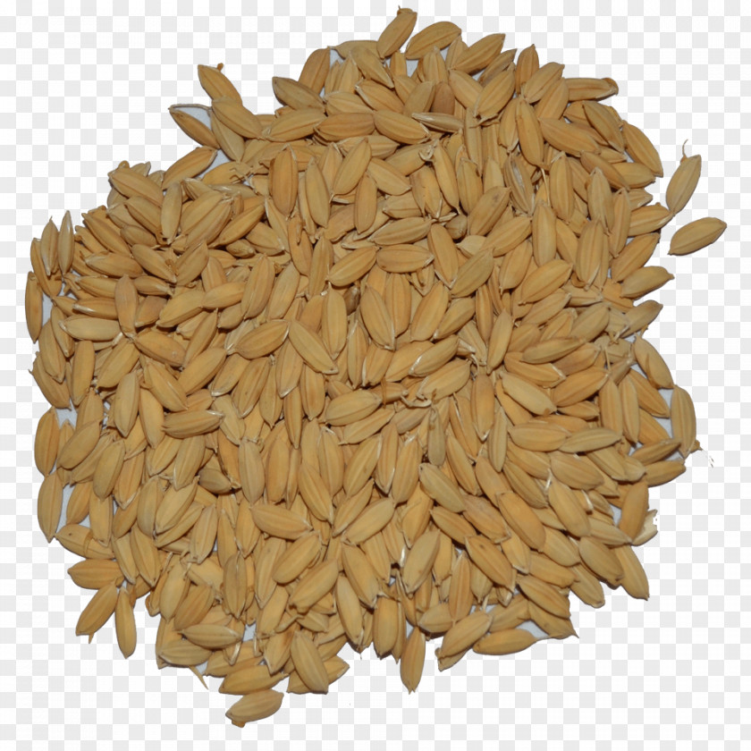 Beer Oat Gluten-free Malt Rice PNG