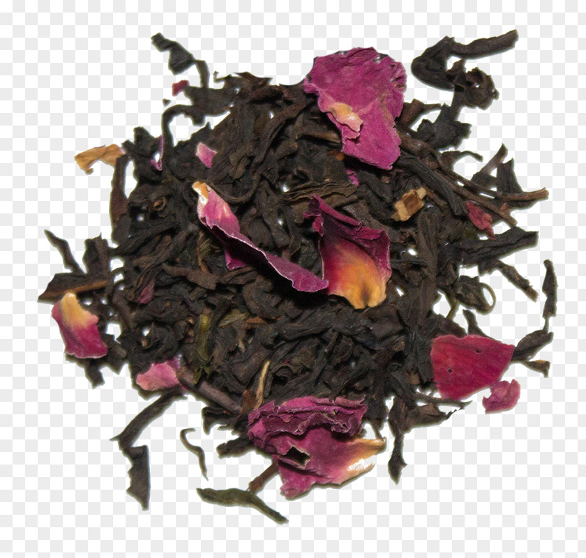 Chinese Savior Crepe Nilgiri Tea Da Hong Pao Magenta Sea Camellia Sinensis PNG