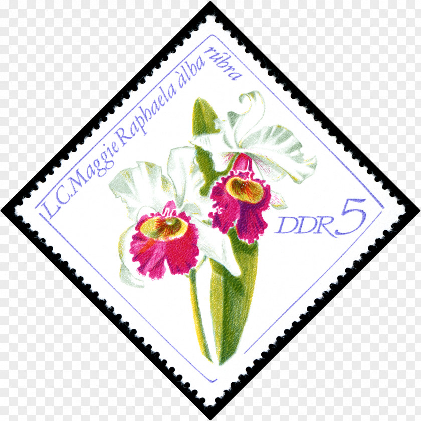 Germany East Postage Stamps Mail Floral Design PNG