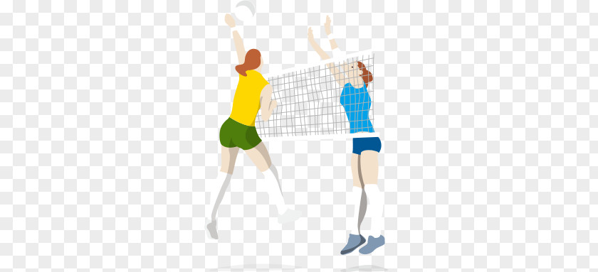 Vector Sports Volleyball Beach Net PNG