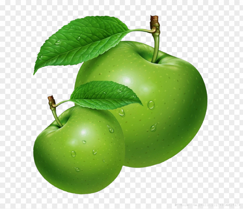 Green Apple Juice Extract Seed Oil Essential PNG