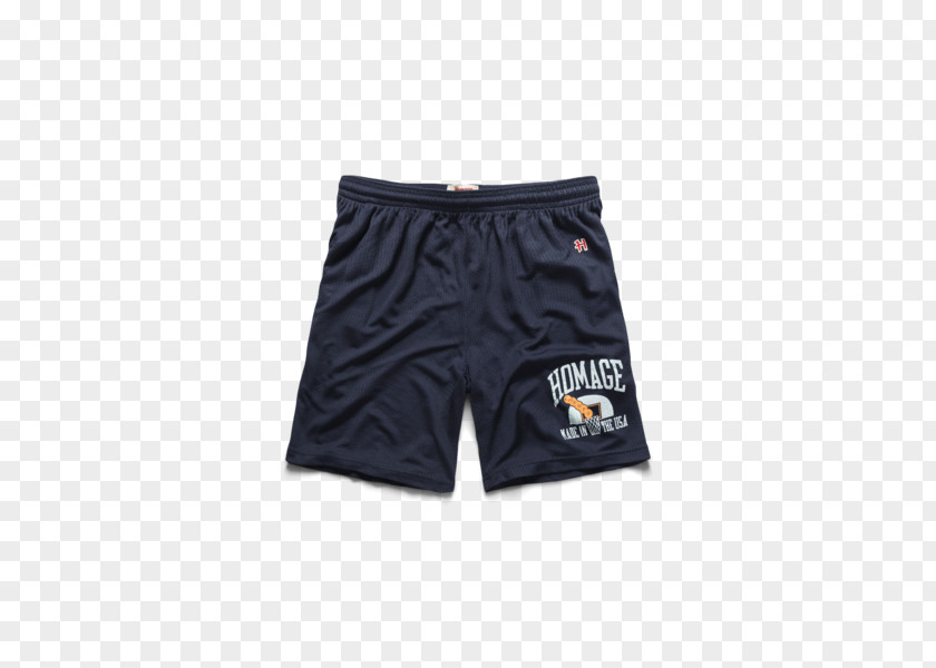 Gym Shorts Trunks Bermuda Brand PNG