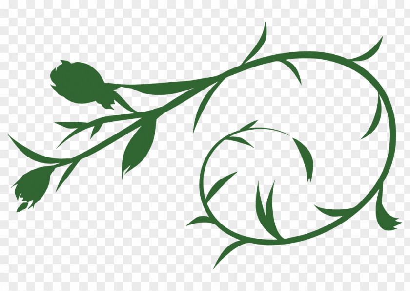 Leaf Illustration Design Twig Clip Art PNG