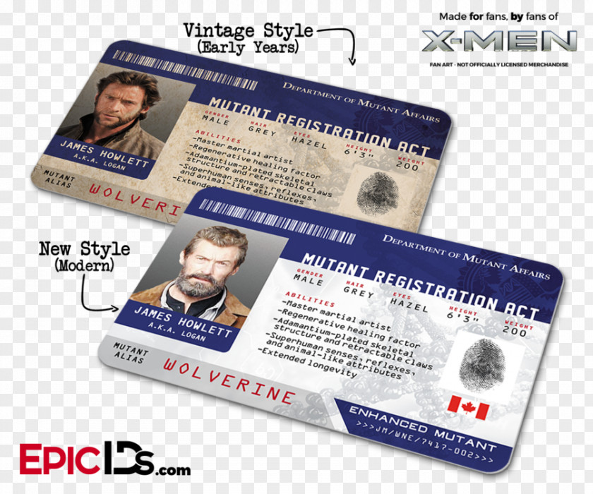 Magneto Professor X Mystique Wolverine Storm PNG