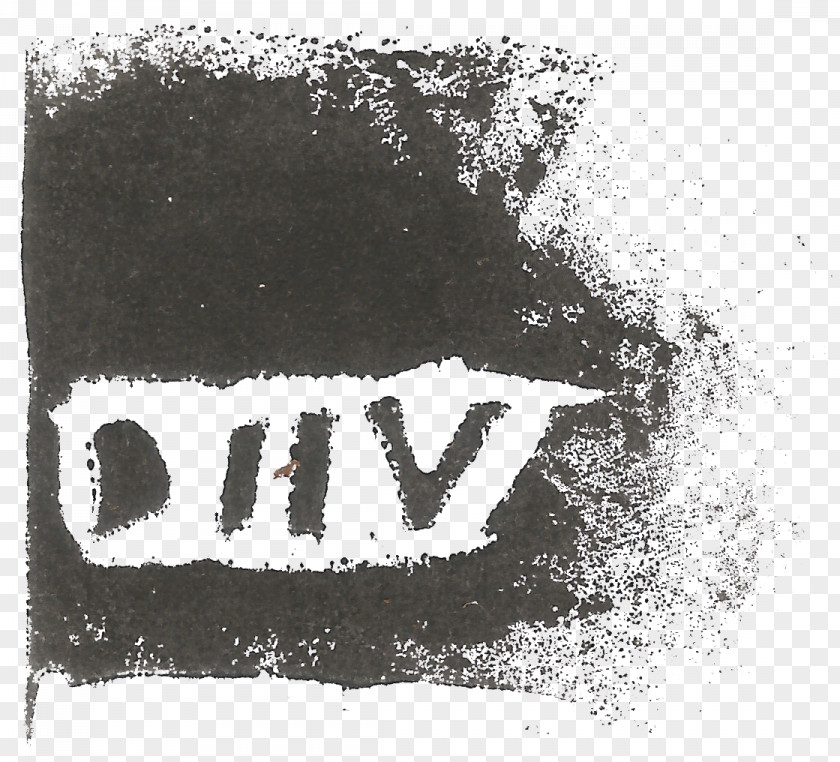 T-shirt DIIV Logo Hoodie PNG