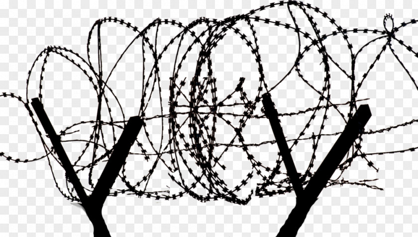 Barbed Wire Tape Concertina PNG