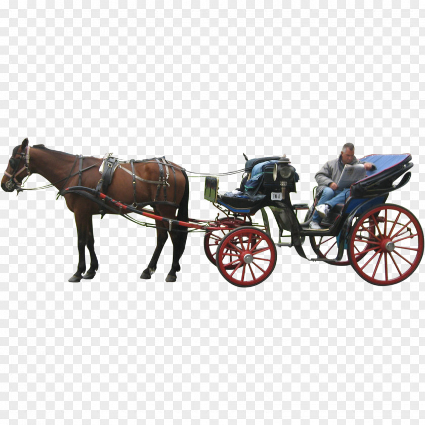 Carriage Horse And Buggy Cart PNG