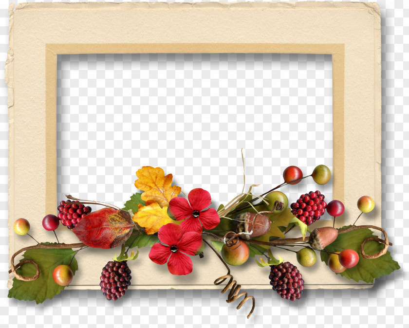 Design Floral Picture Frames Cut Flowers Christmas PNG